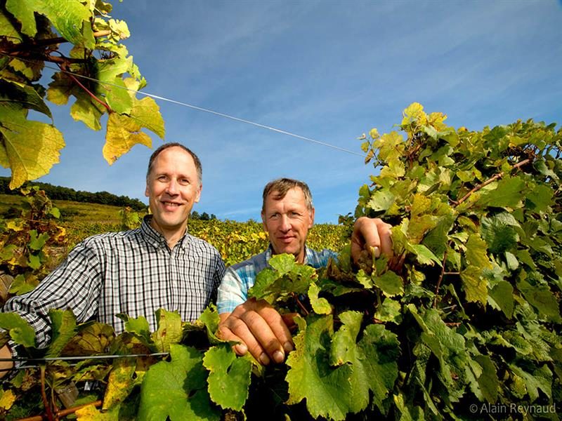 Domaine Blanck André et Fils