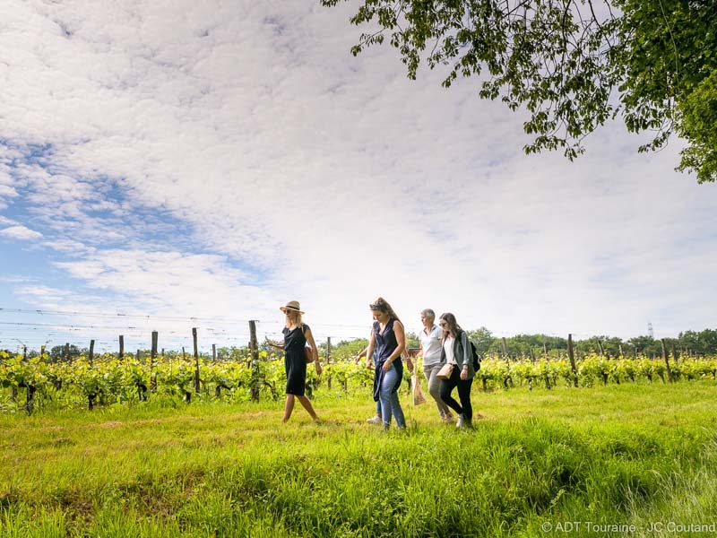 Domaine Nicolas Paget