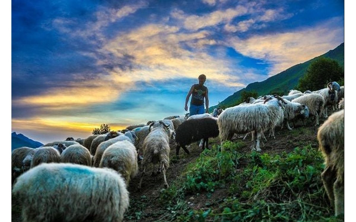 Exposition: Estives, photographie de David Le Déodic