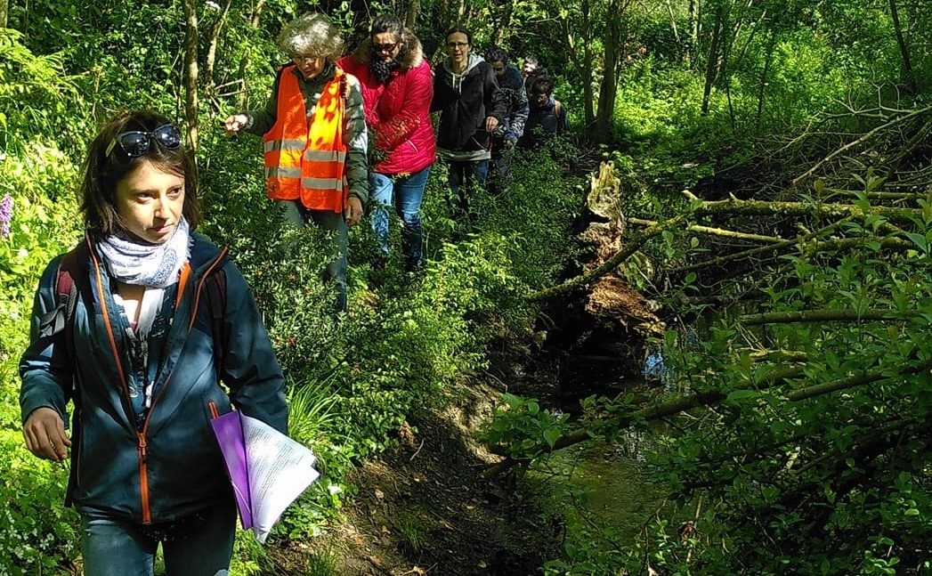 Balade guidée - Bocage en baskets