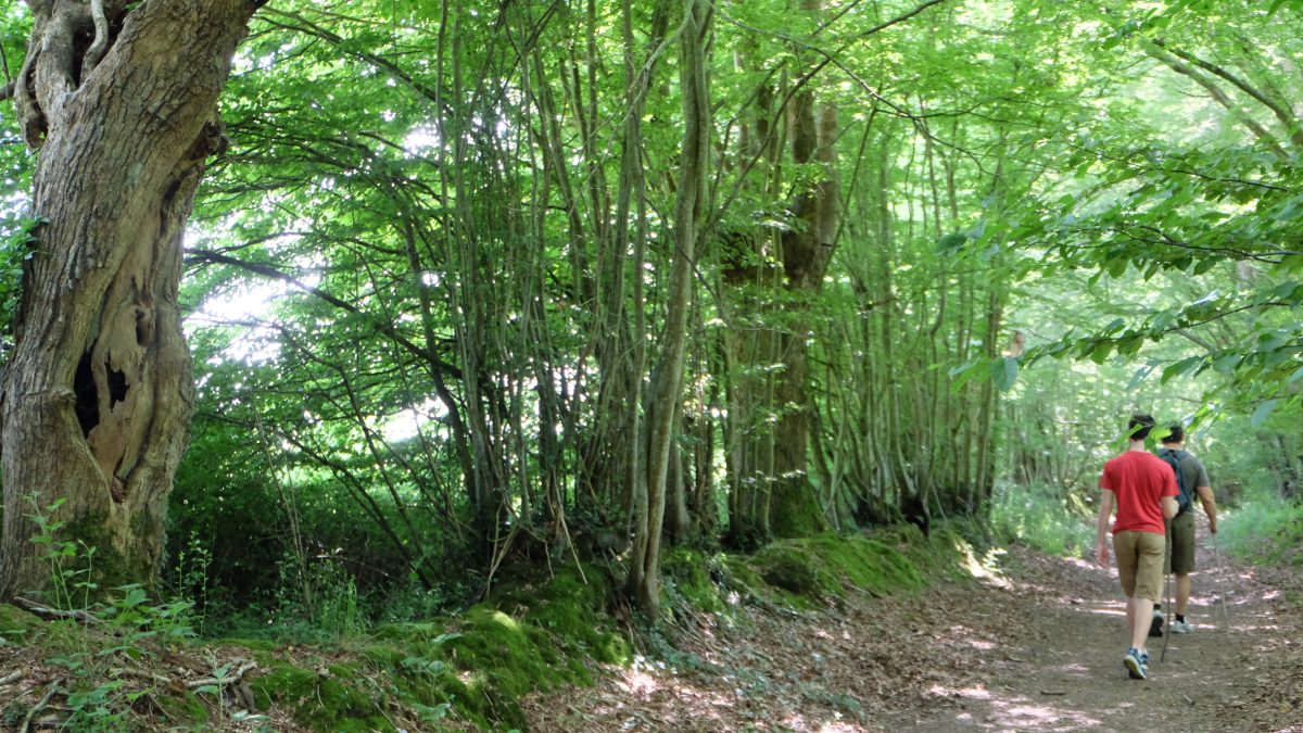 Balade contée crépusculaire au Temple