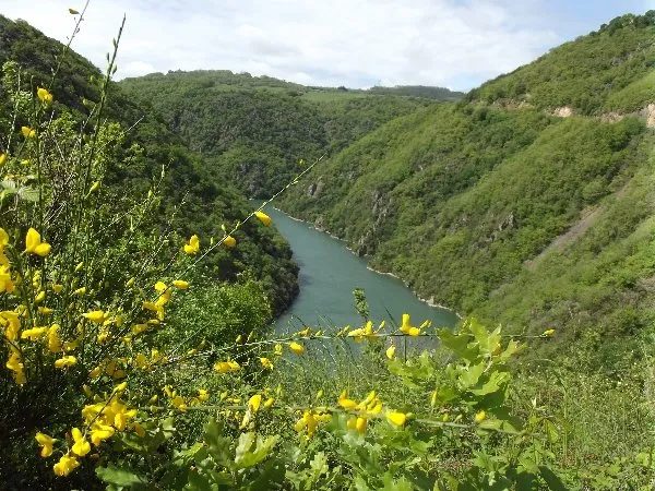 Itinérance en Vallée du Tarn