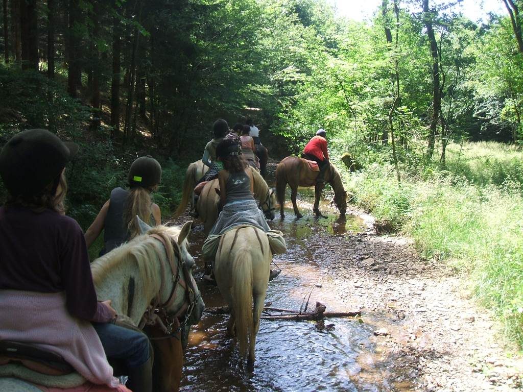 Relais Equestre des Récolets