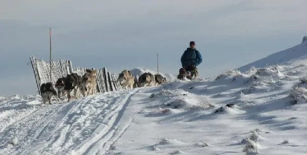 Nord Aveyron Mushing