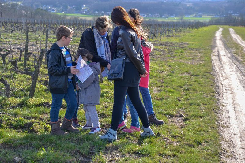 À la recherche de la cuvée perdue - Une prestation de Cap Découvertes au Domaine Sauvète