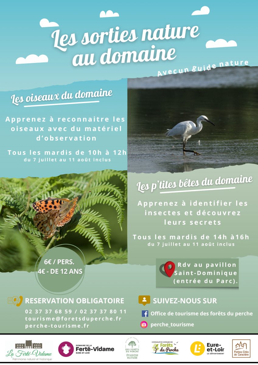 Les p'tites bêtes du domaine - Sortie nature en famille