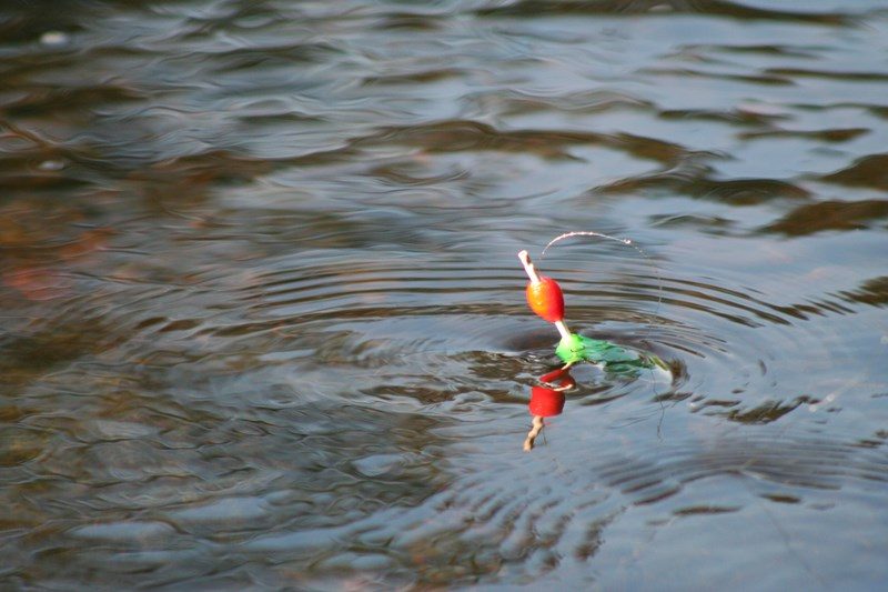 Pêche à l'étang Millot