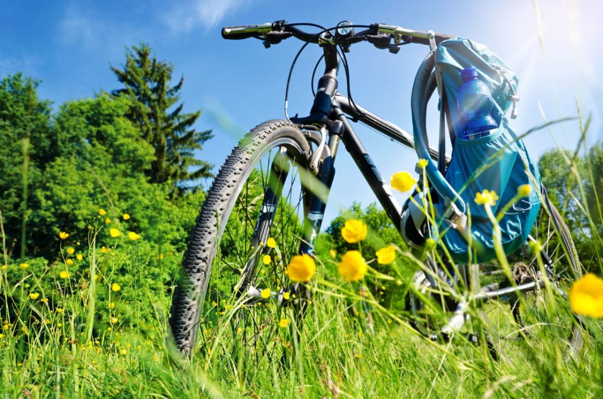 MONTIER EN DER CYCLOTOURISME