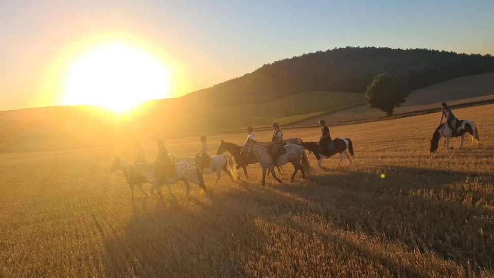 Ferme de Poifond - Agenda Juillet 2026