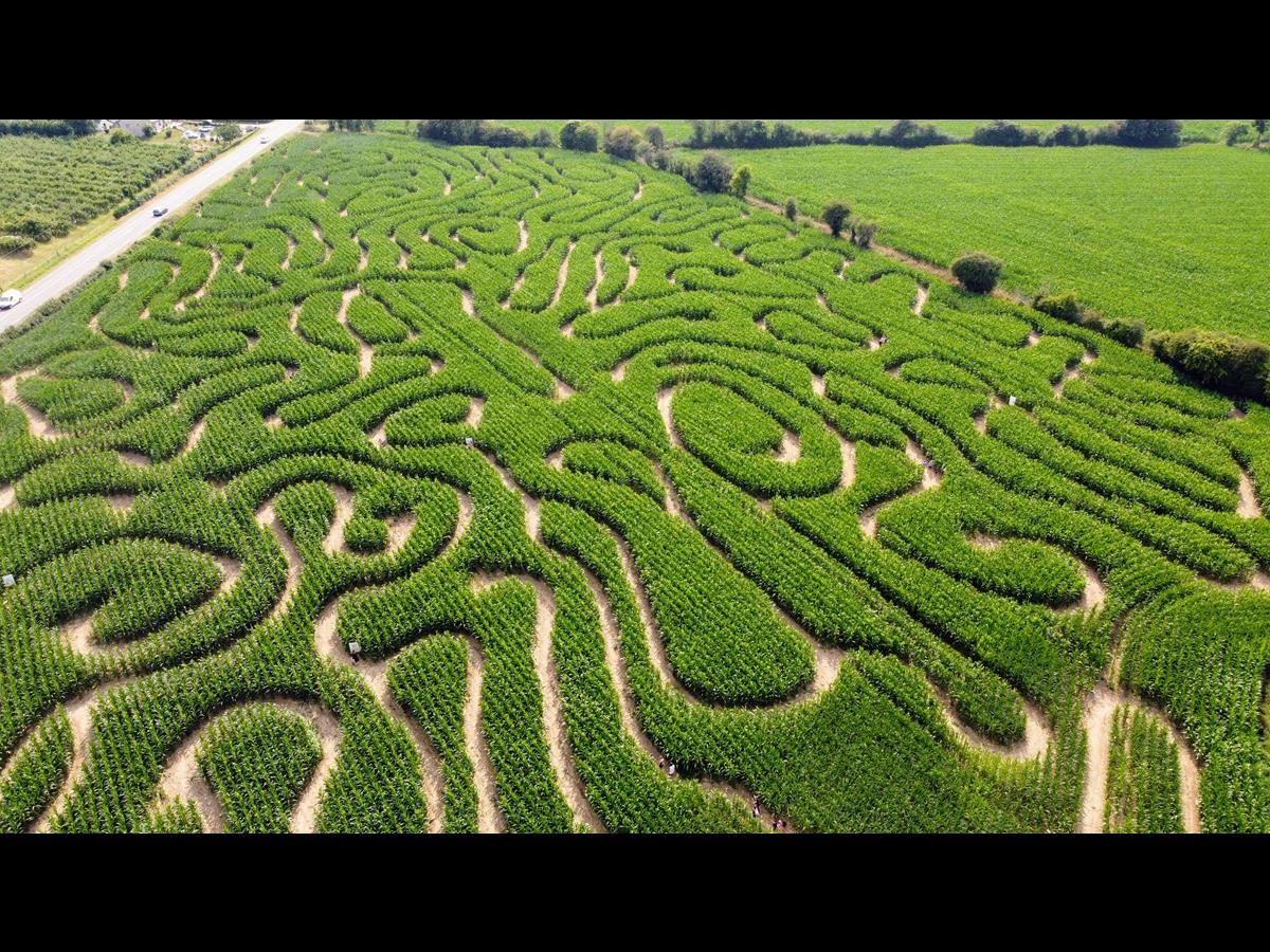 Labyrinthe végétal du Cotentin > La Clé des Champs