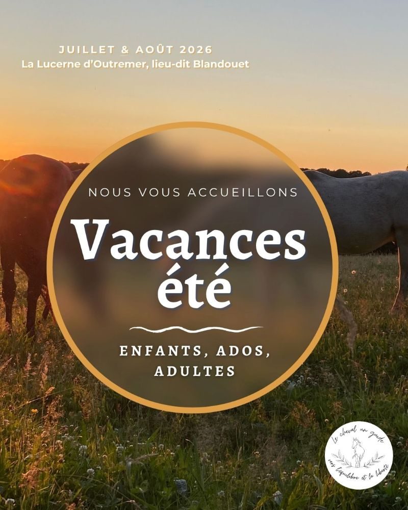 Vacances d'été à l'association