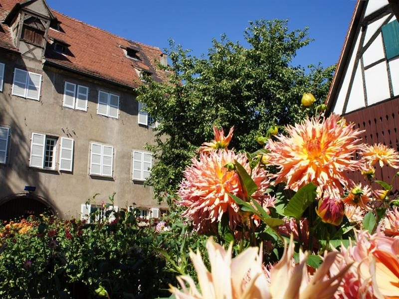 Visite : les coulisses du Corso fleuri