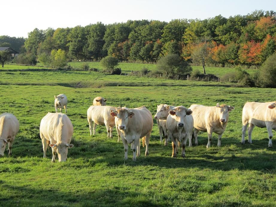 Ferme de l’Epinay