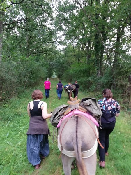 Randonnée accompagnée, 3 jours avec un âne
