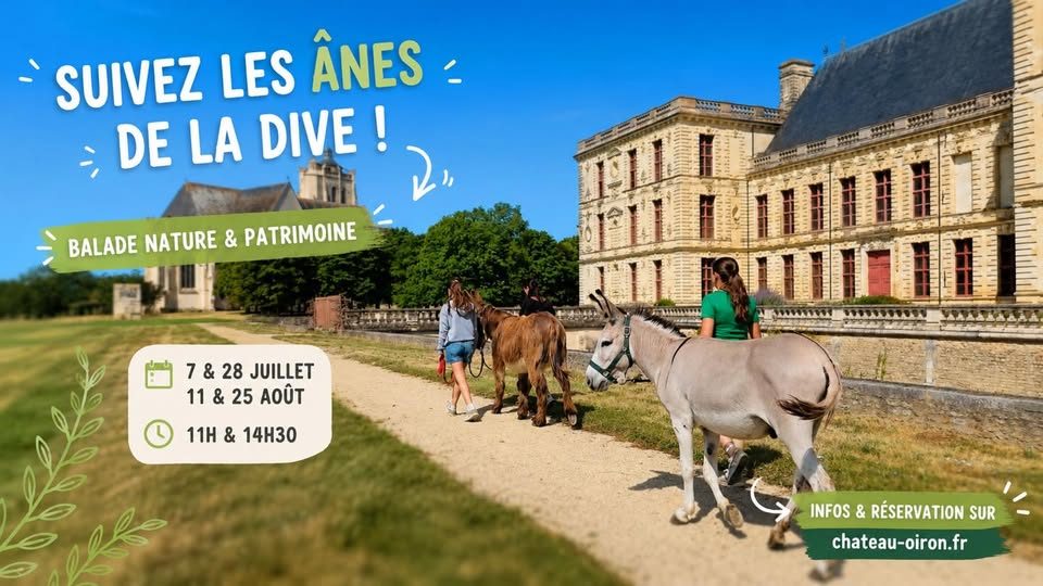 Balade dans les pas des ânes de la Dive ! au château d'Oiron