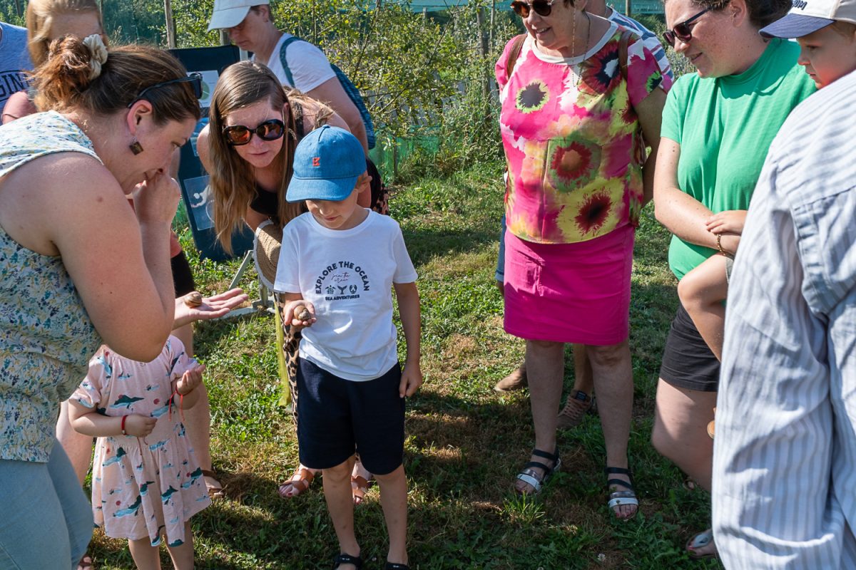 Visite d'un élevage d'escargots
