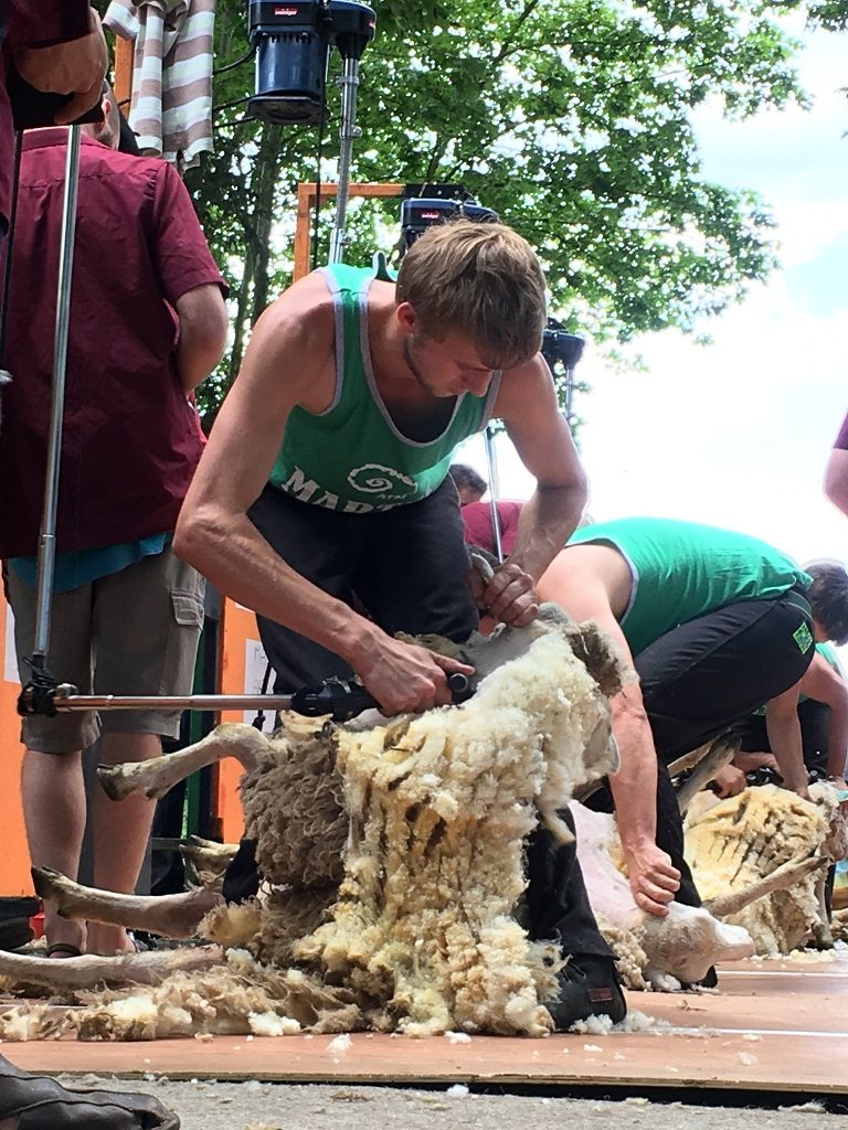 Fête des tondailles de Martel