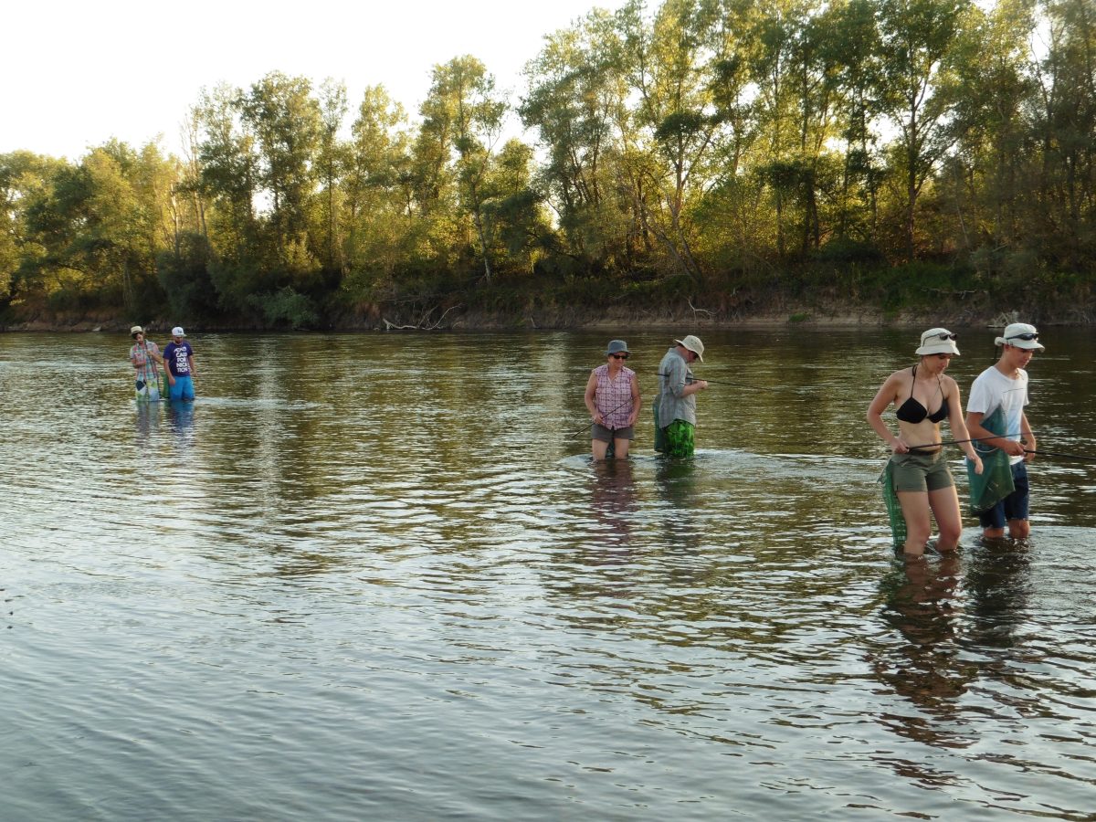 Pêche en bateau de Loire