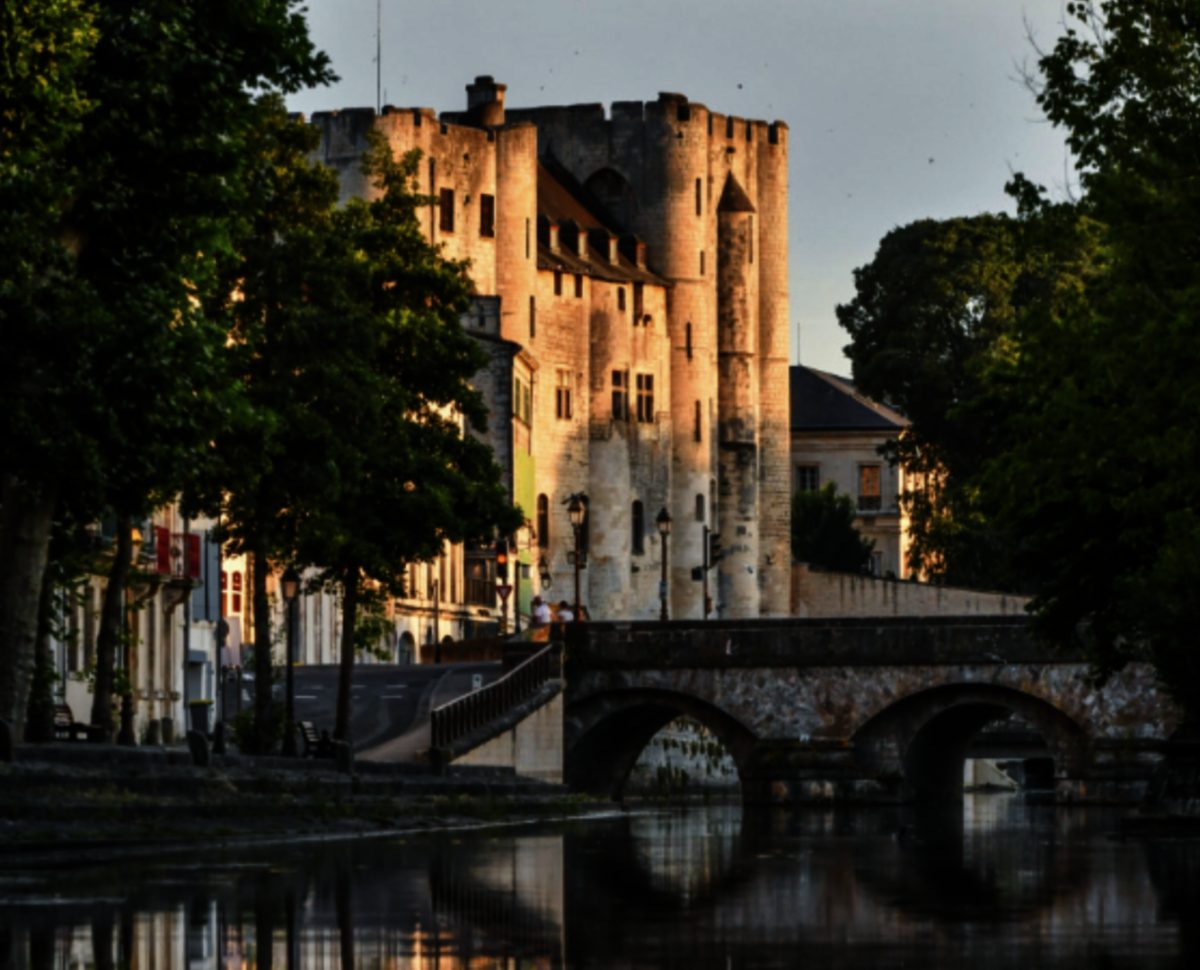 Visites commentées et exposition - L'été au Donjon de Niort