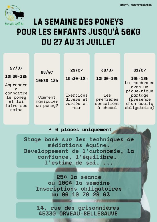 La semaine des poneys
