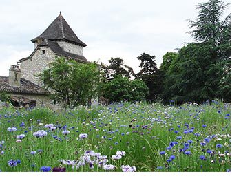 Château Vent d'Autan