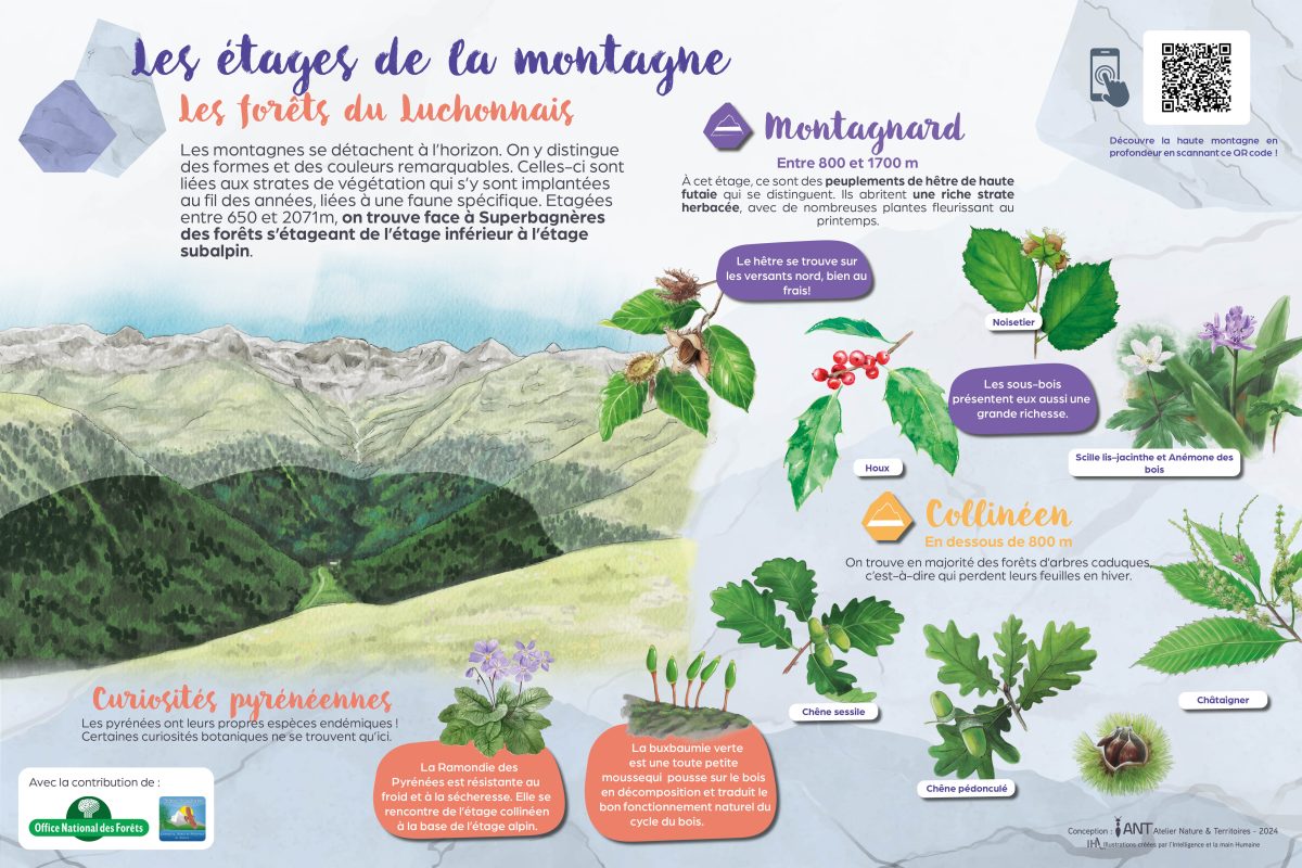 LES ÉTAGES DE LA MONTAGNE À SUPERBAGNÈRES
