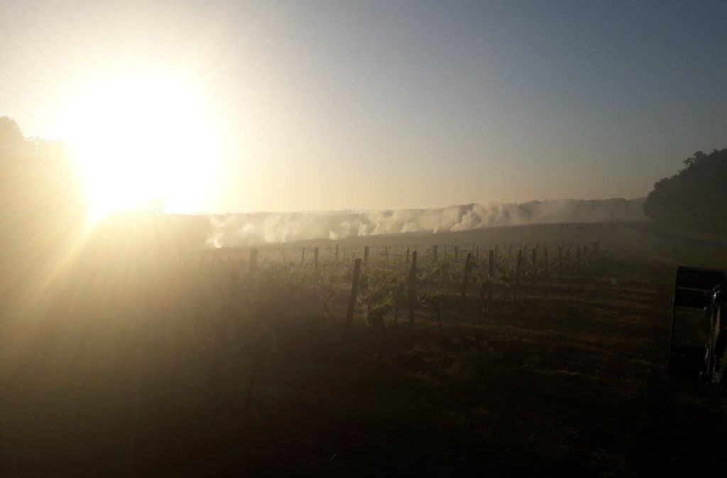 Clos de Noël