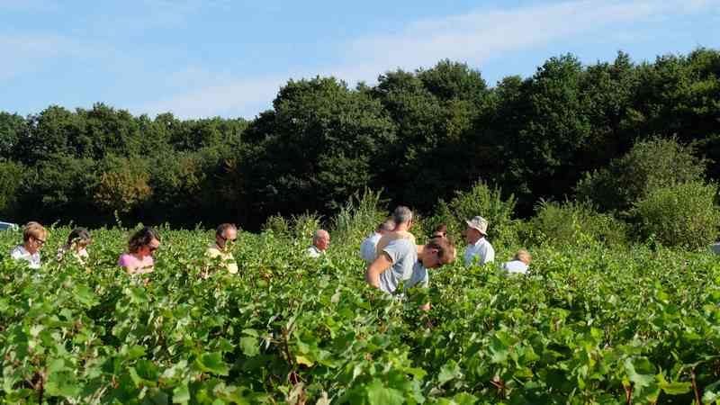 Vignes Vins Randos à Thoré-la-Rochette