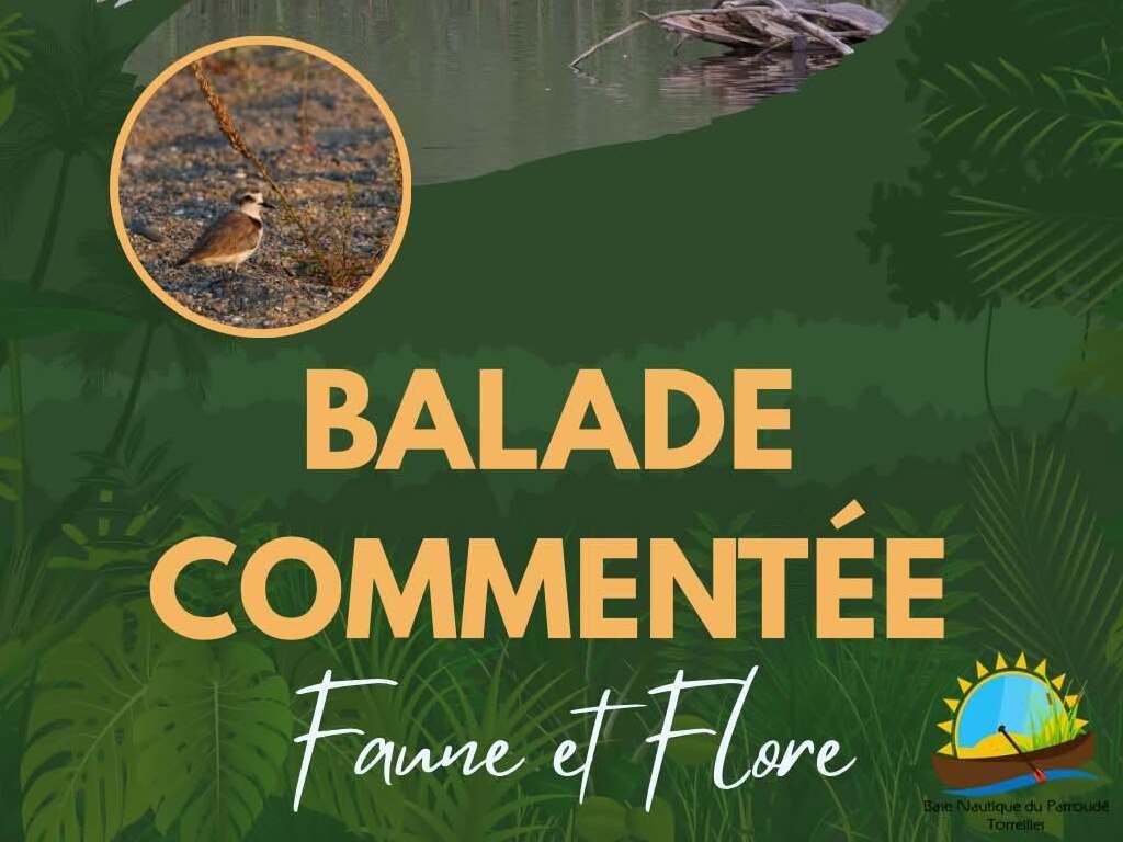BALADE COMMENTÉE, FAUNE ET FLORE