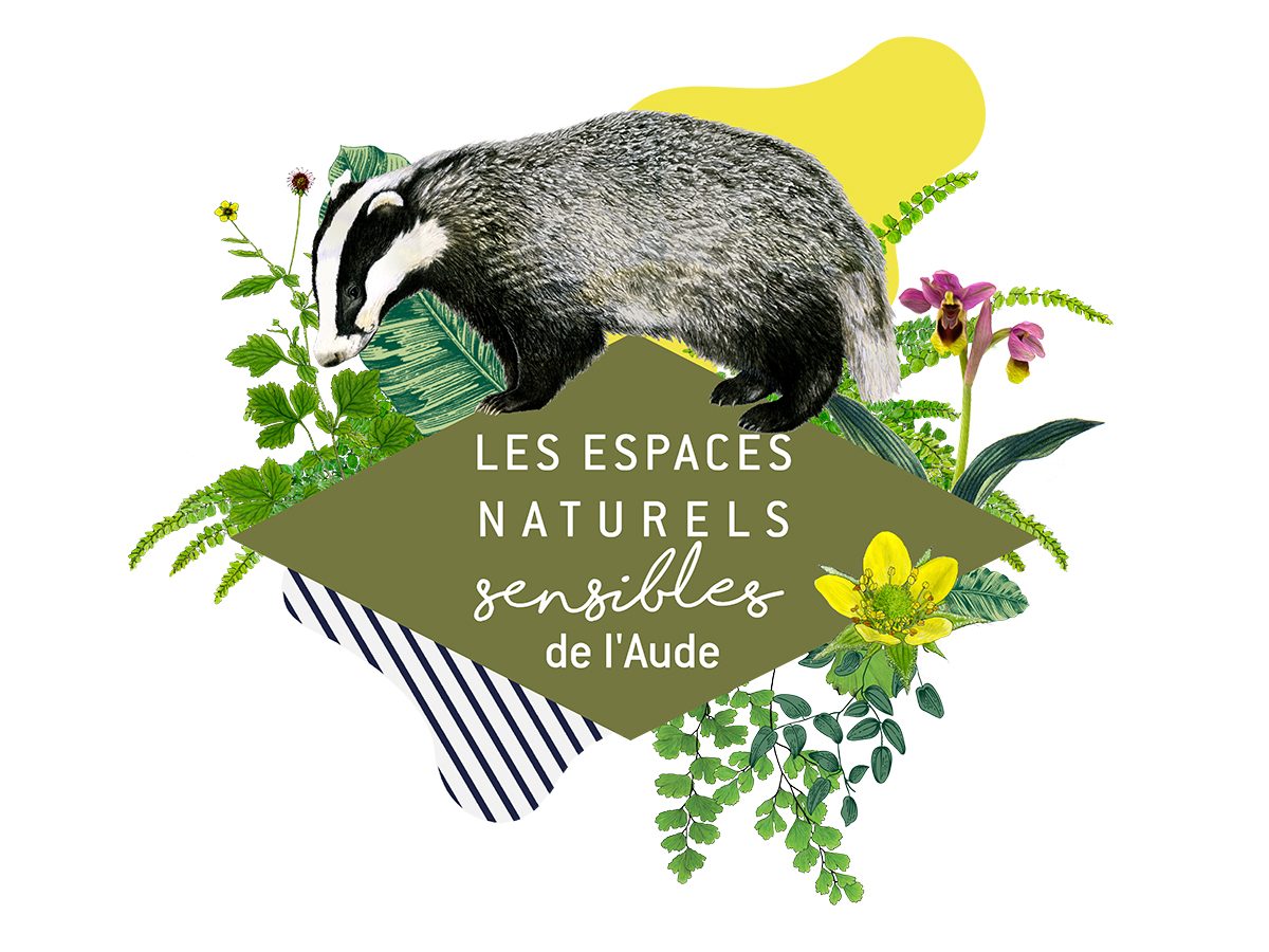 ENS - PETITES BÊTES DE JOUR ET DE NUIT