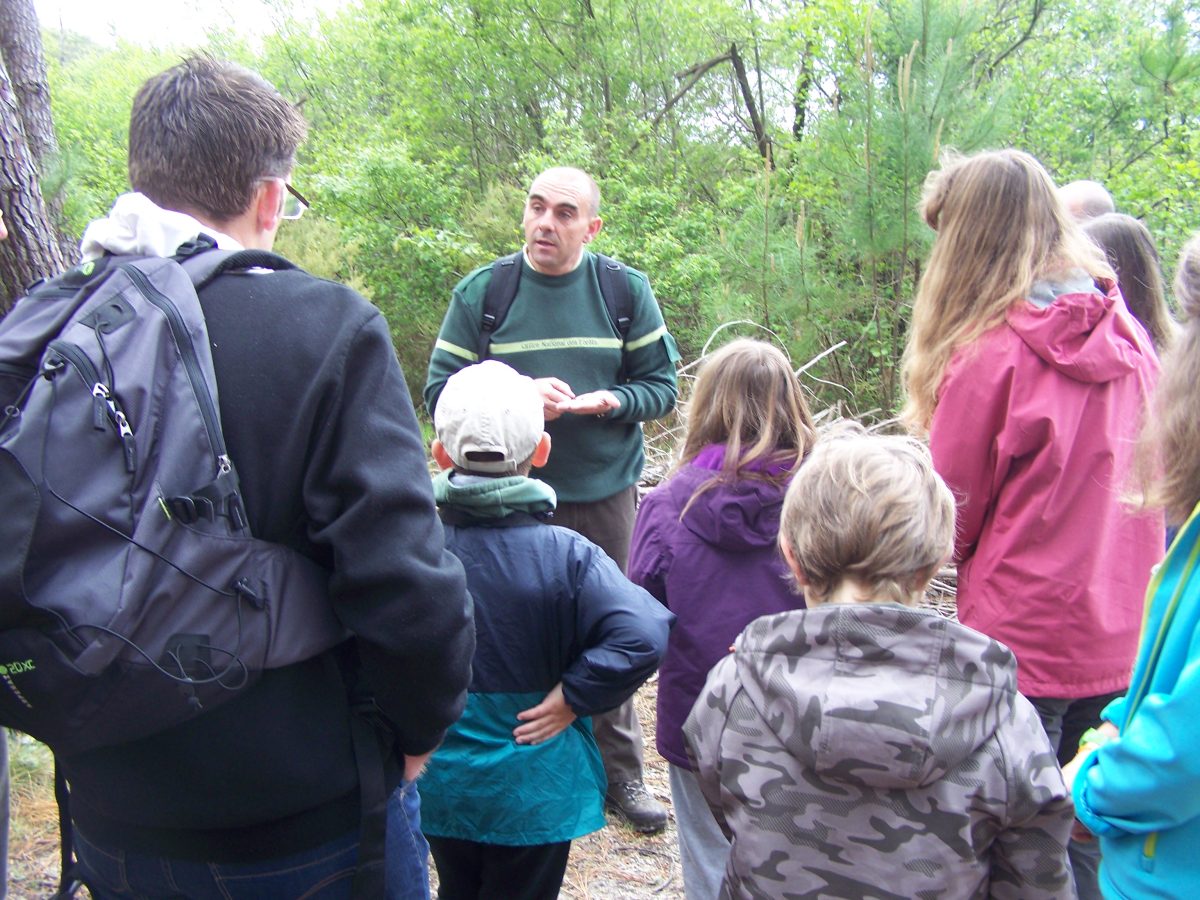Annulée-Visite guidée O.N.F Dune, Forêt littorale, Réserve biologique de la Maillouèyre
