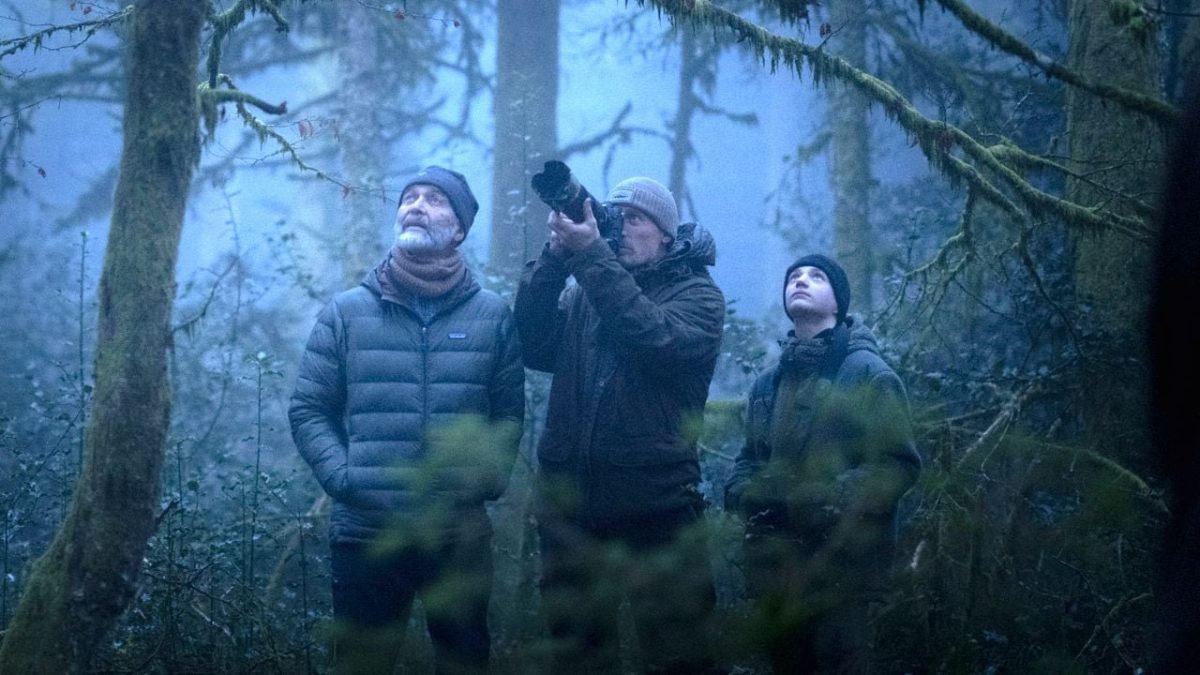 CINÉCO : LE CHANT DES FORÊTS