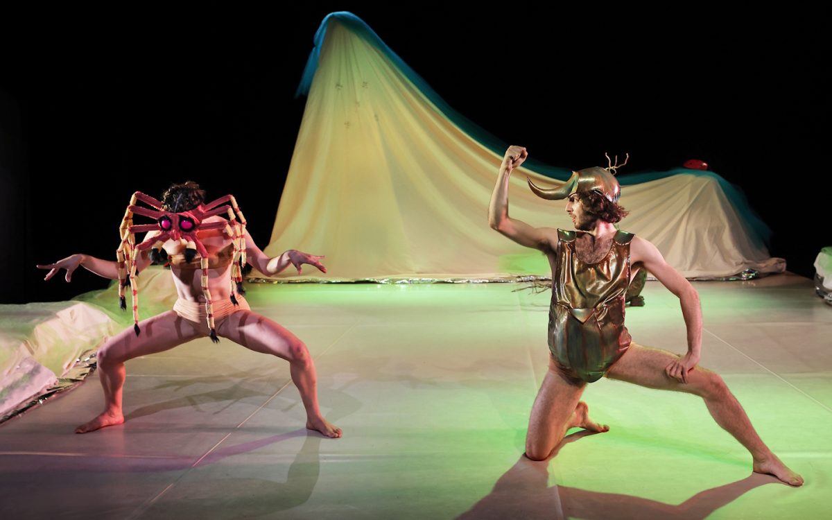 Danse contemporaine Mamuka