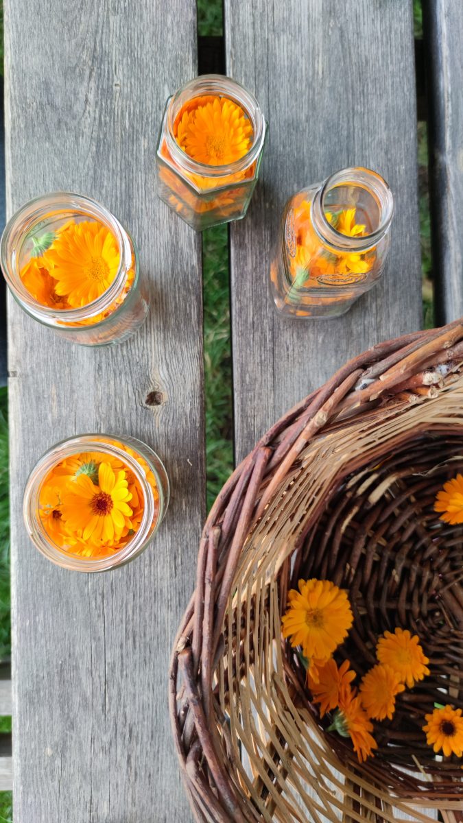 ATELIER CONFECTION D'HUILES AVEC DES VÉGÉTAUX DU JARDIN
