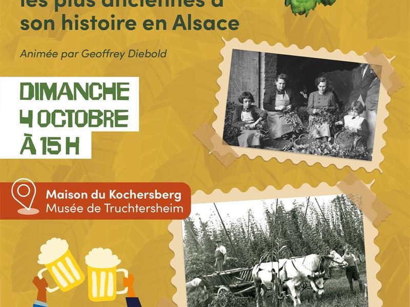 Conférence : la bière, de ses traces les plus anciennes à son histoire en Alsace