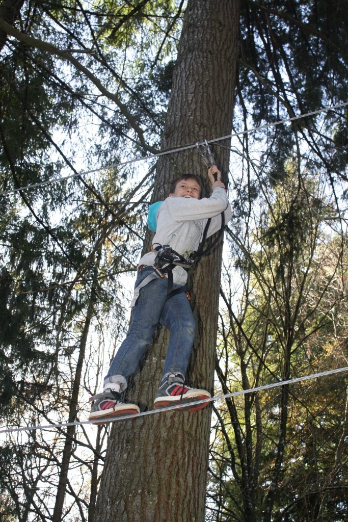 Ferme Pédagogique de la Bitarelle - Parcours dans les Arbres