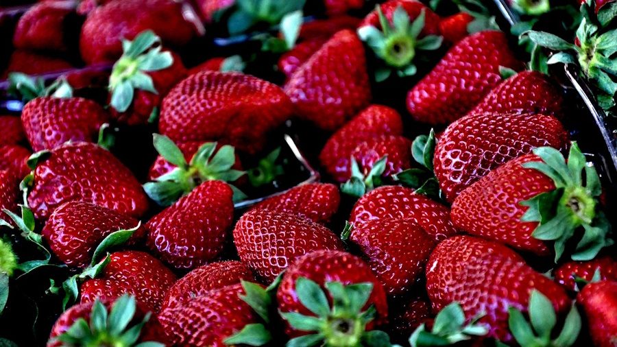 Marché à Saint-Pardoux-Le-Lac