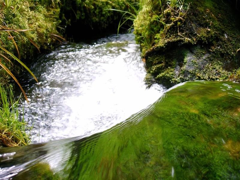 Pêche la Truite de la Verdurette