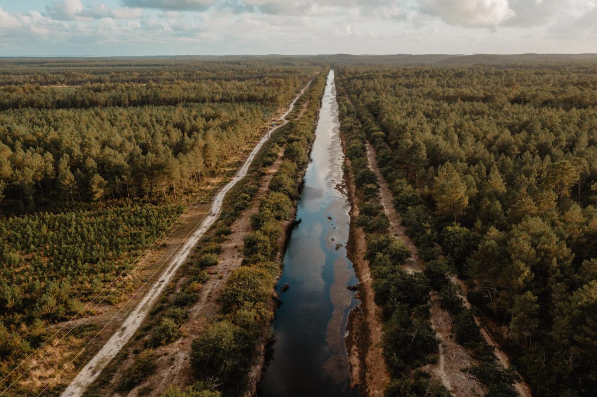 Pêche sur le canal des étangs du Porge