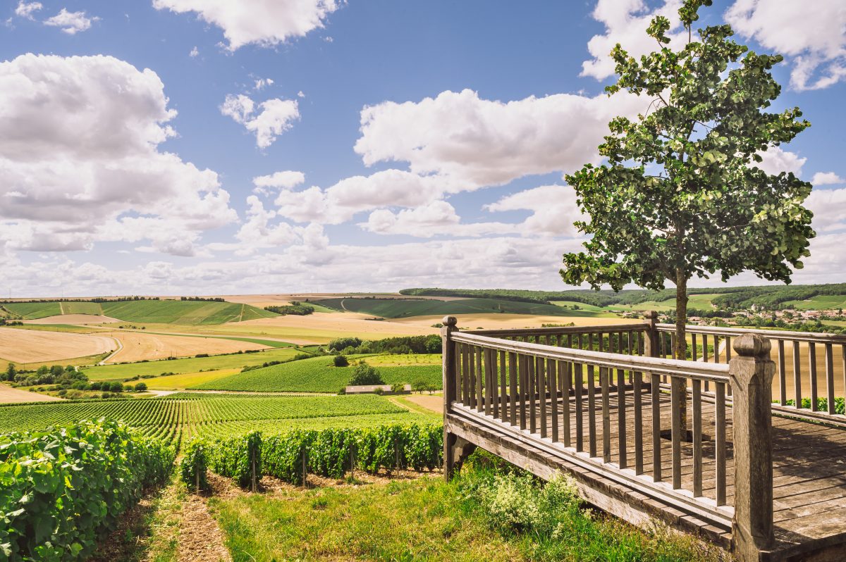 Champagne Edouard Duval