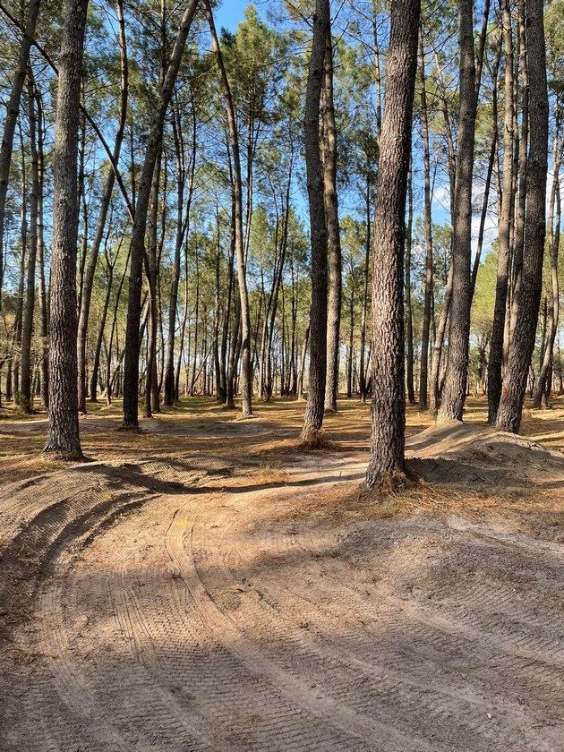 Pumptrack
