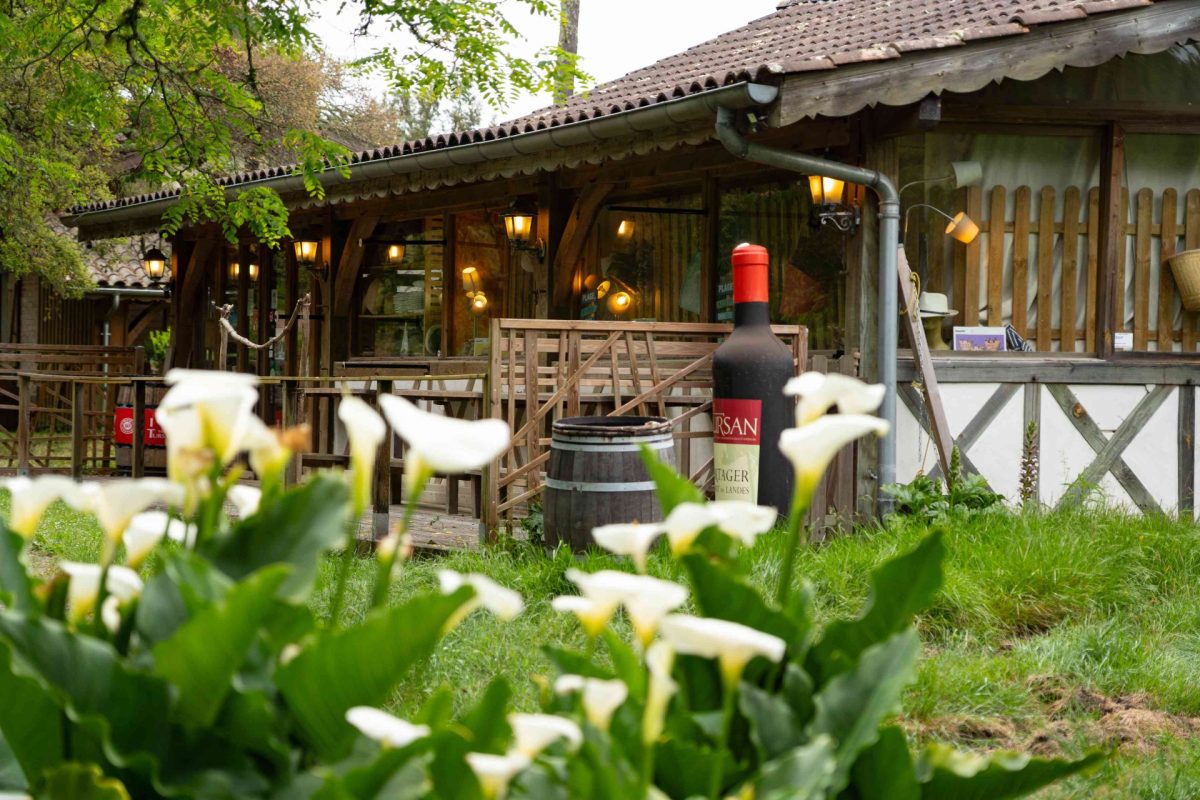 TEST VIT DEGUST : Ferme