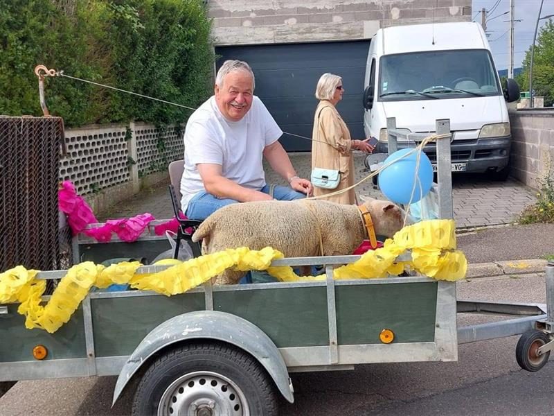 Marche du mouton