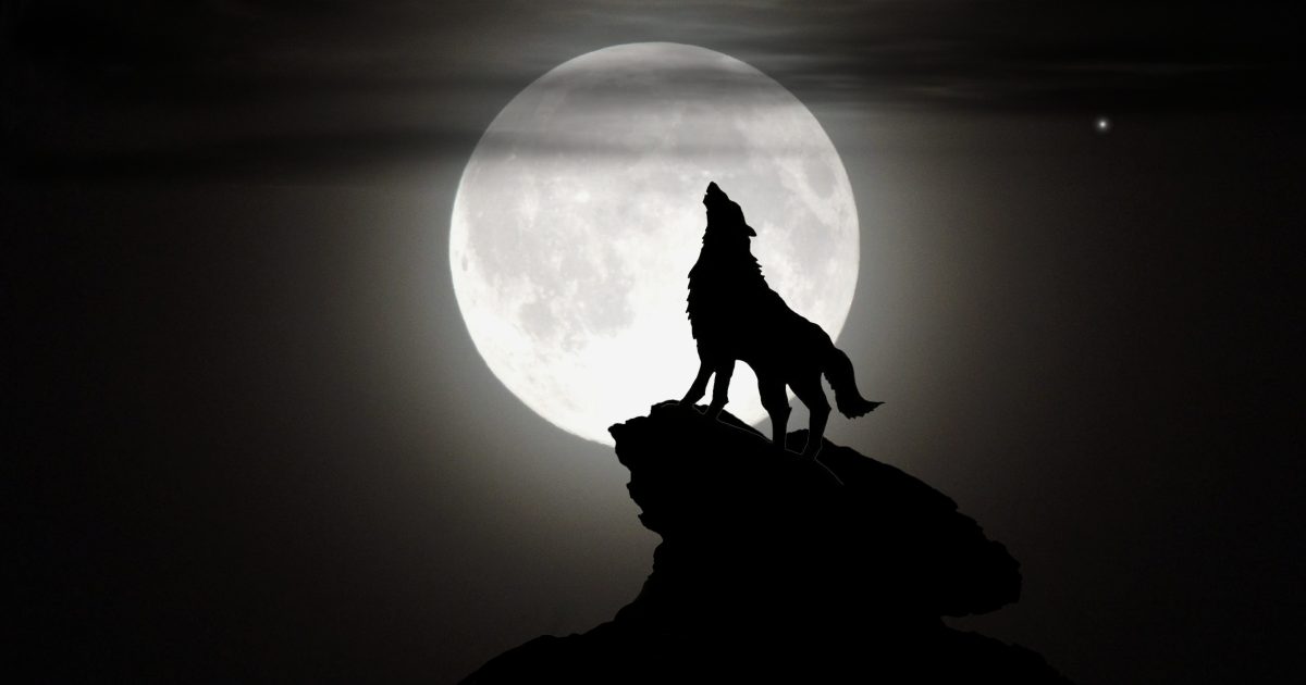 Loup-Garou de Thiercelieux - ados