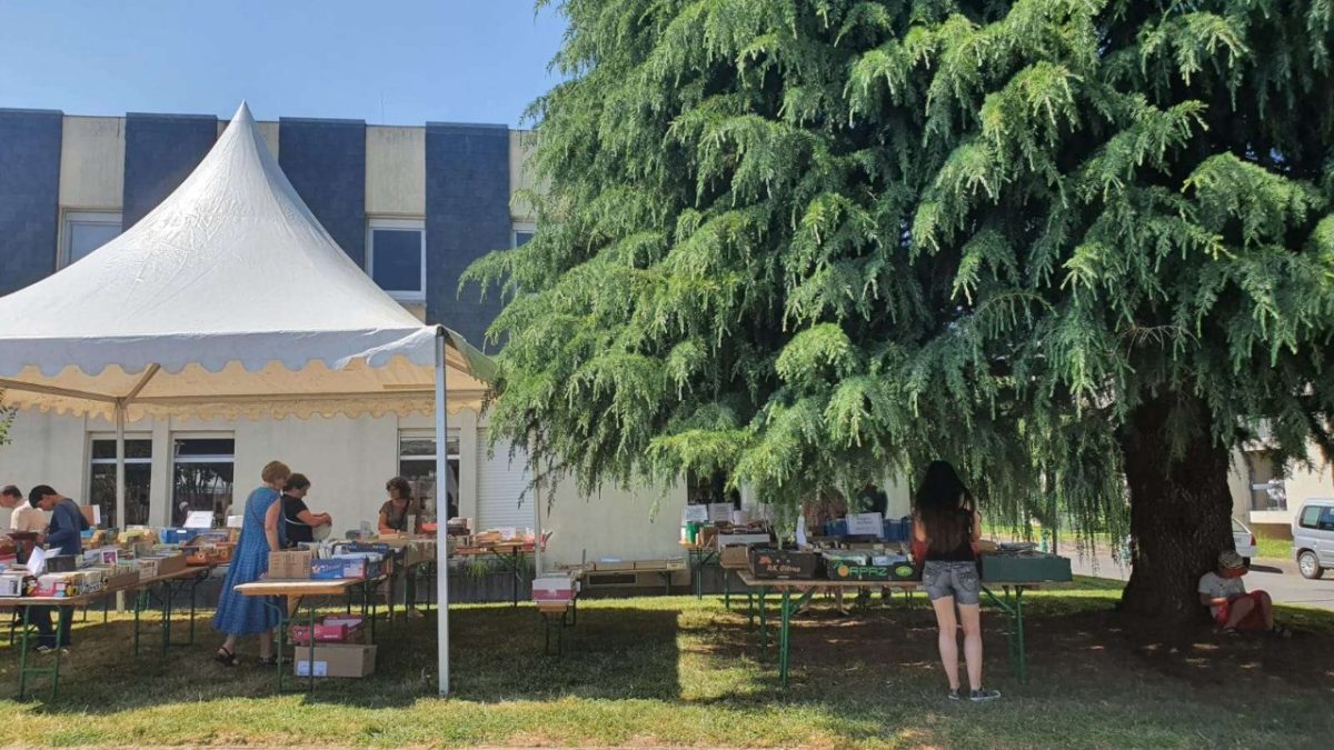 La médiathèque en fête !