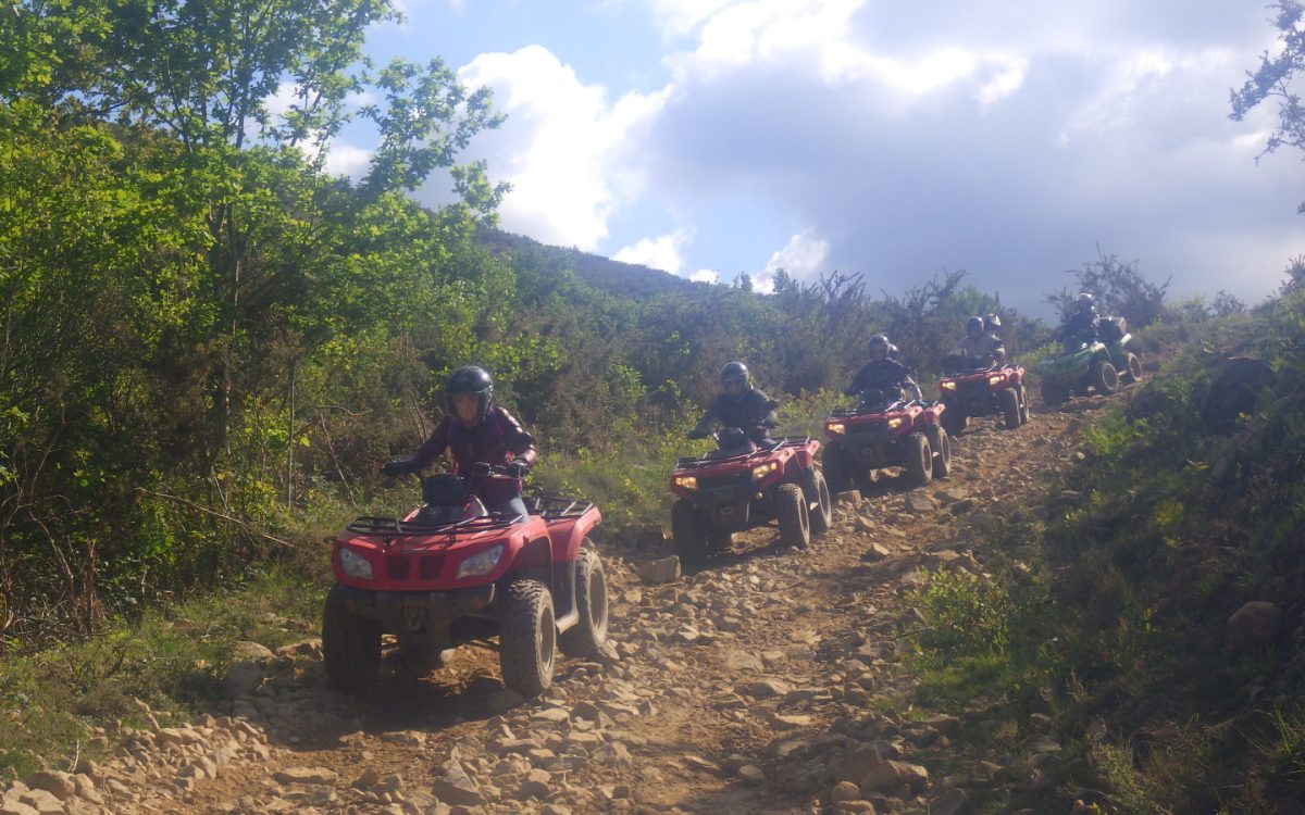 Quad é Nature