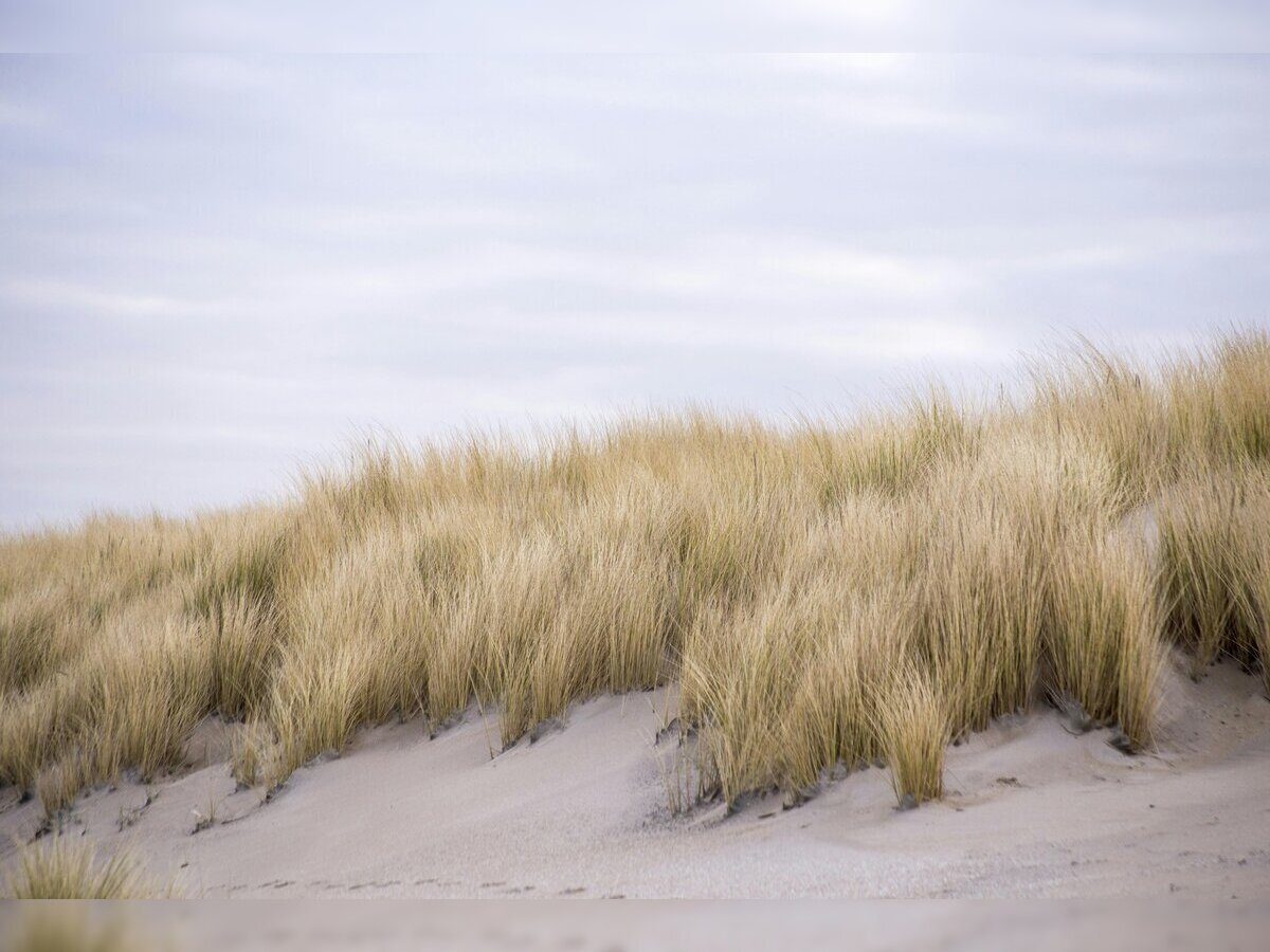 Randonnée pédestre commentée - 10e anniversaire du sentier des dunes d’Annoville