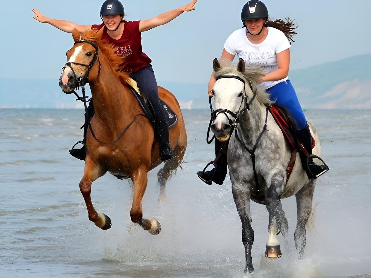 Pôle Équestre de Cabourg - La Sablonnière