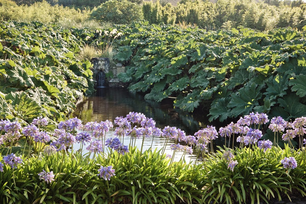 Visite libre du jardin botanique de Vauville