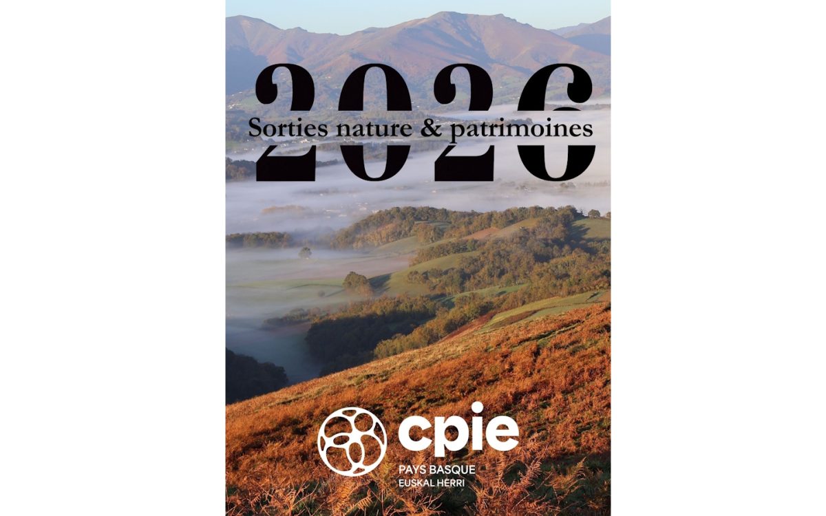 Sortie nature CPIE Pays Basque : "Pirenaika, la vache basque"